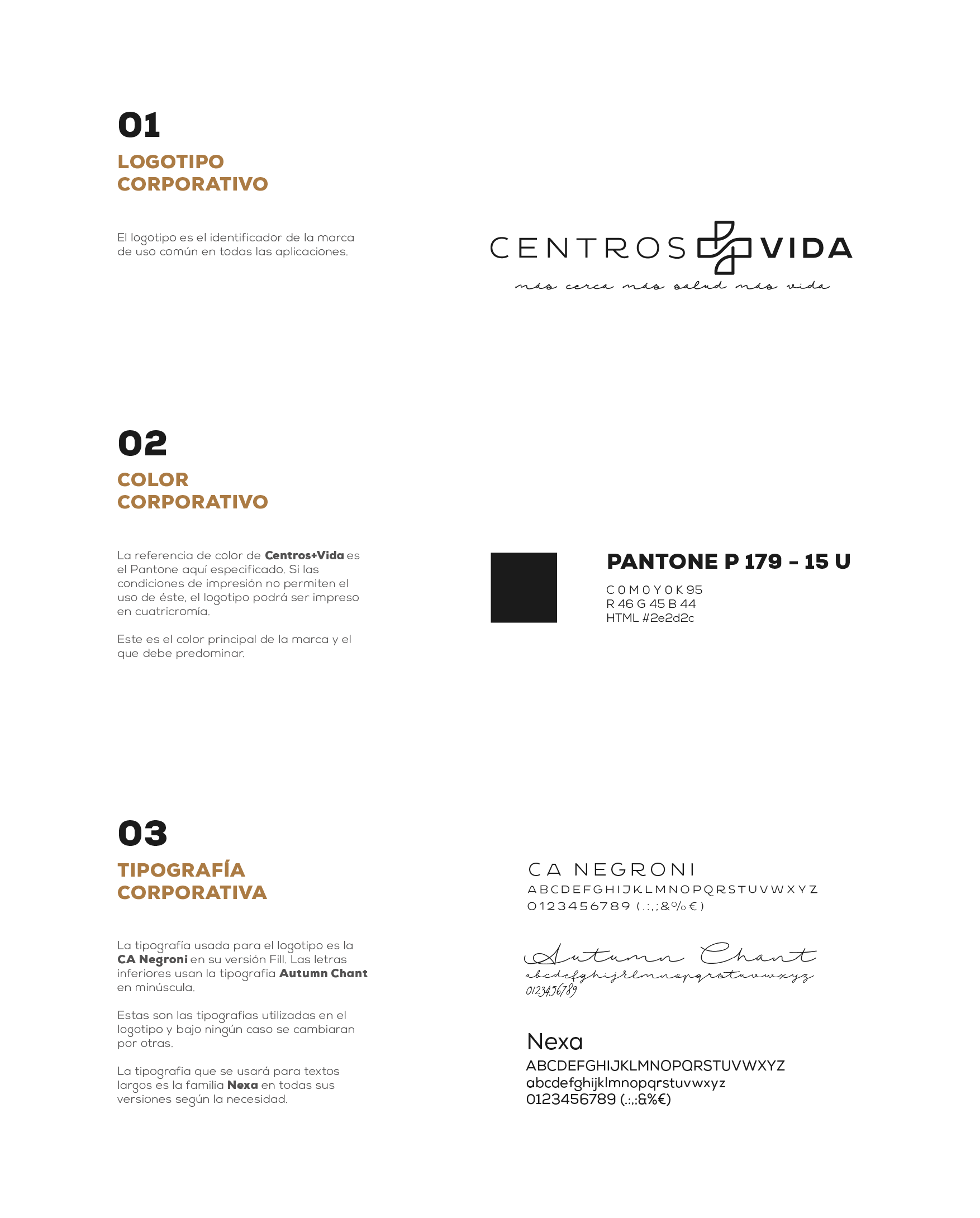 Mockup Color corporativo y logotipo