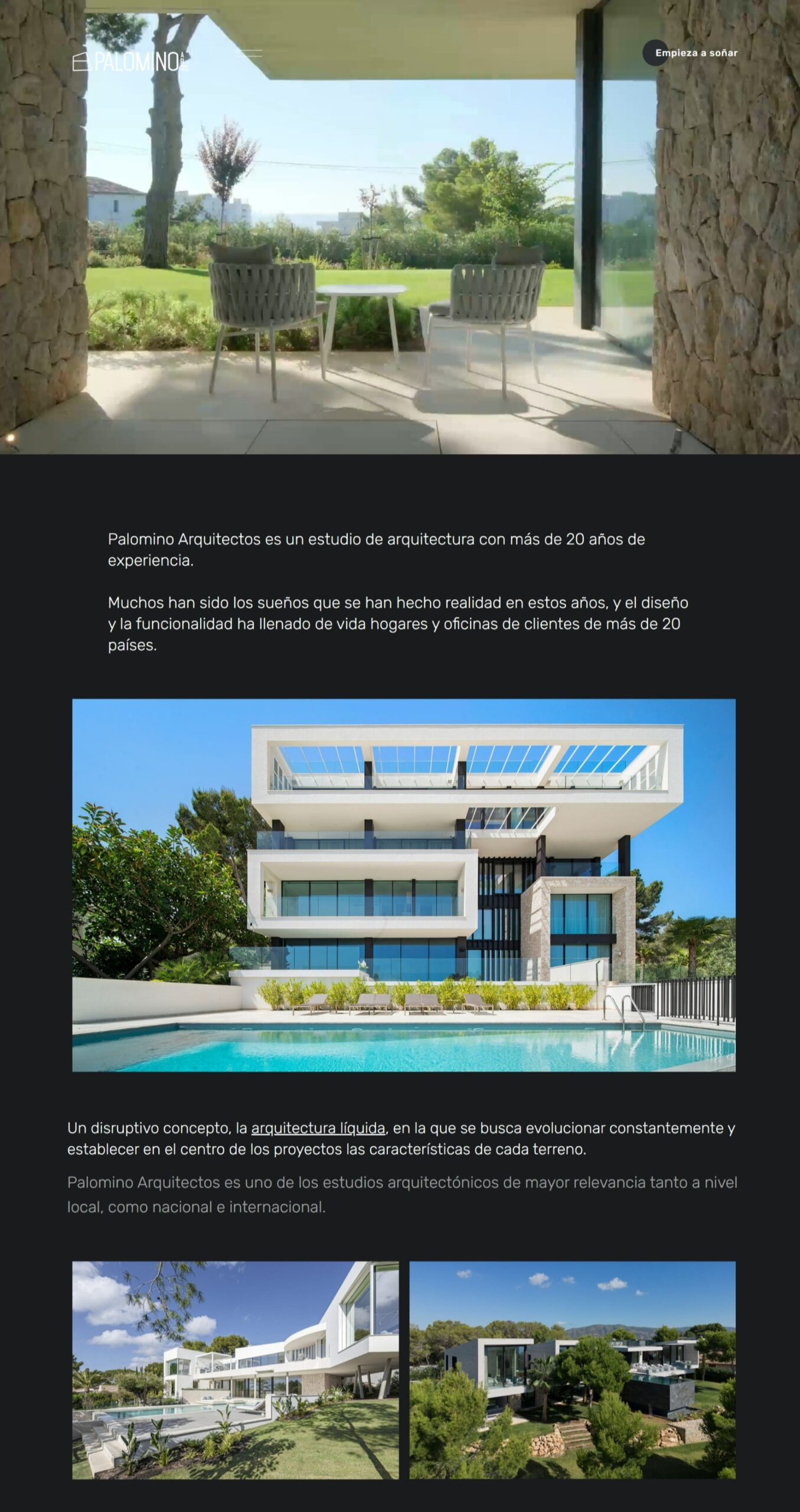 Captura 1 Web APalomino