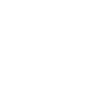Logo Govern de les Illes Balears